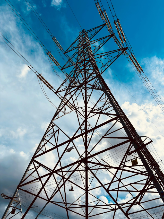 Interfacing Open Energy System Planning with ENTSO models and contributing to the TYNDP