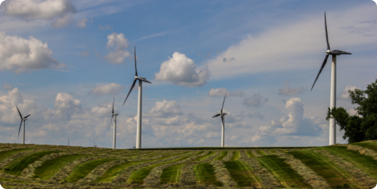 REMIND-PyPSA-Eur: Integrating power system flexibility into sector-coupled energy transition pathways